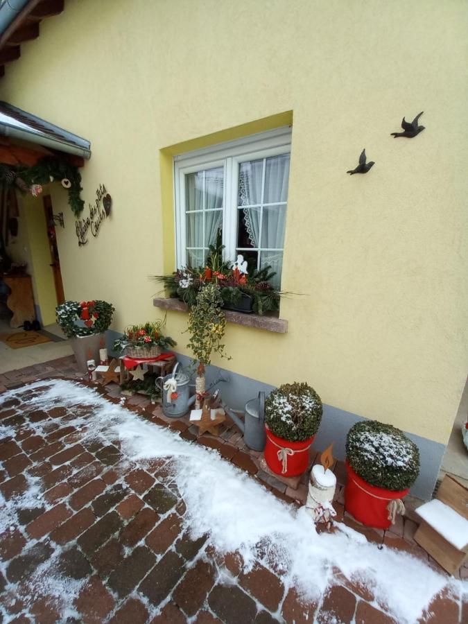 L'Alcove Des P'Tits Coeurs Villa Benfeld Kültér fotó