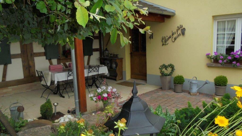 L'Alcove Des P'Tits Coeurs Villa Benfeld Kültér fotó